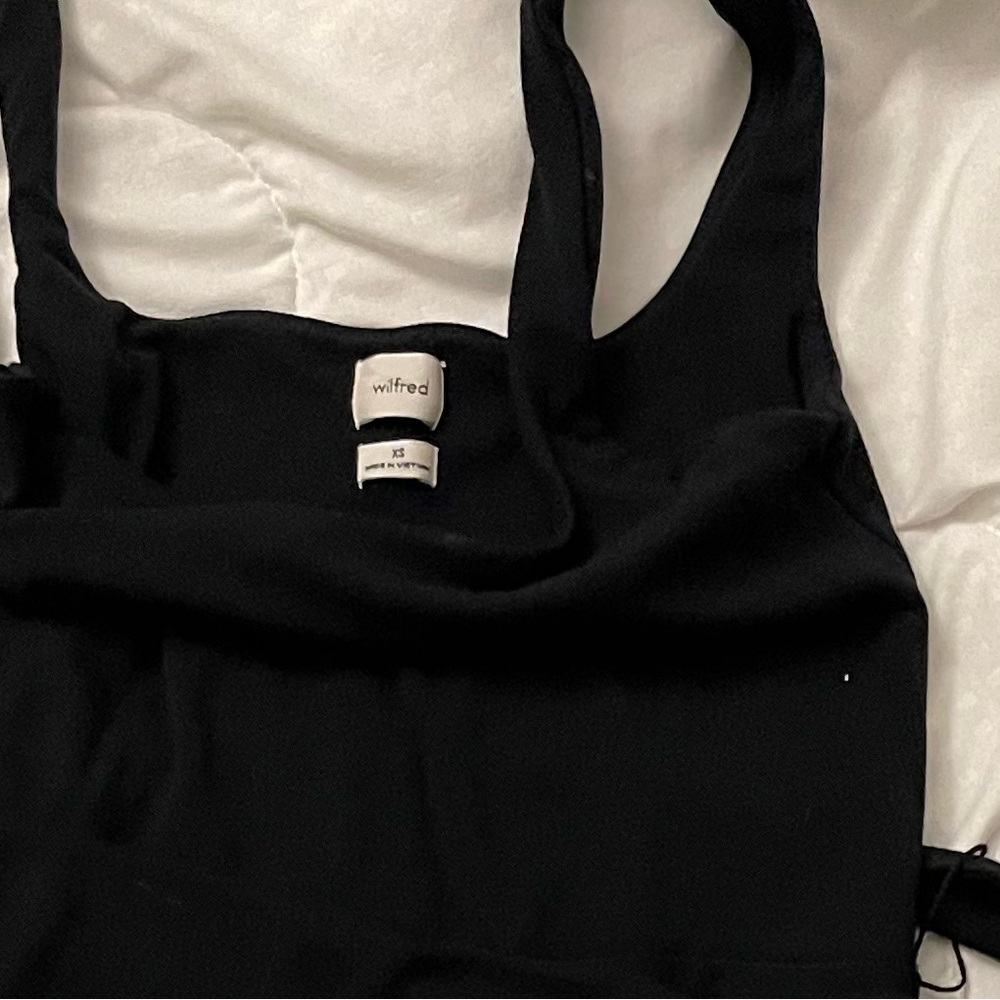 Aritzia dress